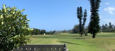 WhatsApp Image 2025-10-05 at 09.08.58_b68dc7a8